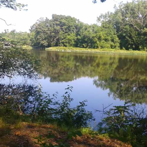 photo of Hockanum Linear Trail at 6 Driver Road East Hartford CT 06108