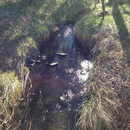 photo of Dad Clark Trail at 220 Northridge Road Littleton CO 80126
