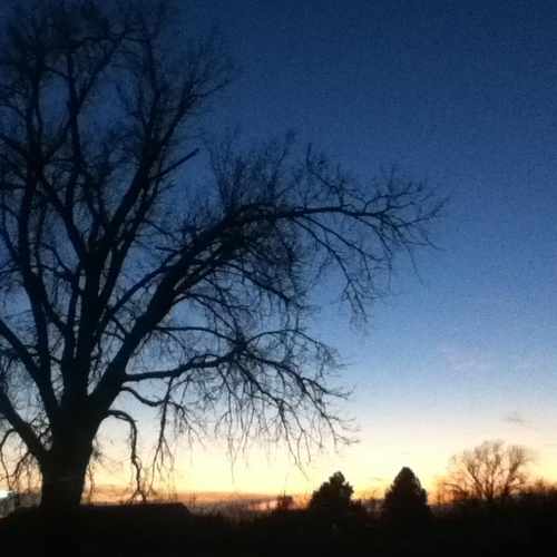 photo of Alexa's Home at Deer Trail Junction City KS 66441