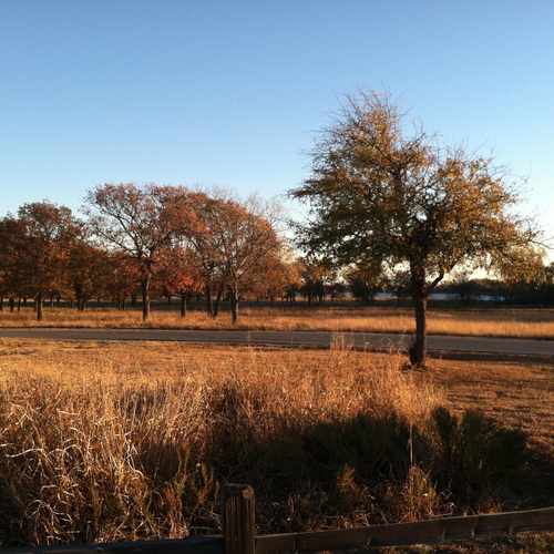 photo of West Lake Park at Westlake Park Hickory Creek TX 75065