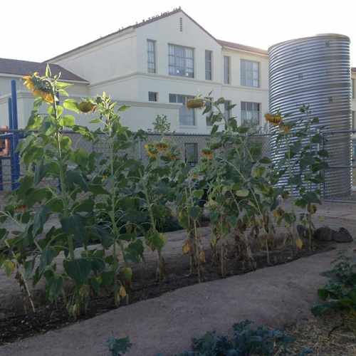 photo of Roskruge Bilingual Magnet Middle School at 501 East 6th Street Tucson AZ 85705