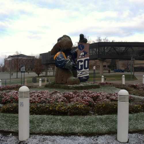 photo of Zippy Landscape at 350 East Buchtel Avenue Akron OH 44304