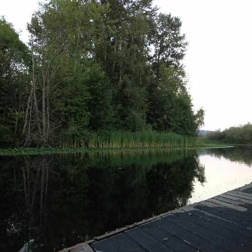 photo of Sammamish River at River Trail Redmond WA 98052