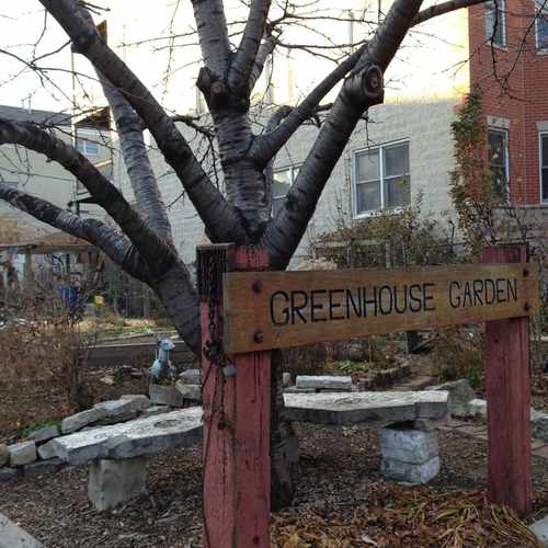 photo of Greenhouse Garden at 1031 North Honore Street Chicago IL 60622