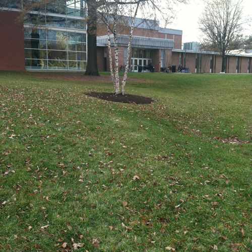 photo of Burdick Hall at Towsontown Boulevard West Towson MD 21252