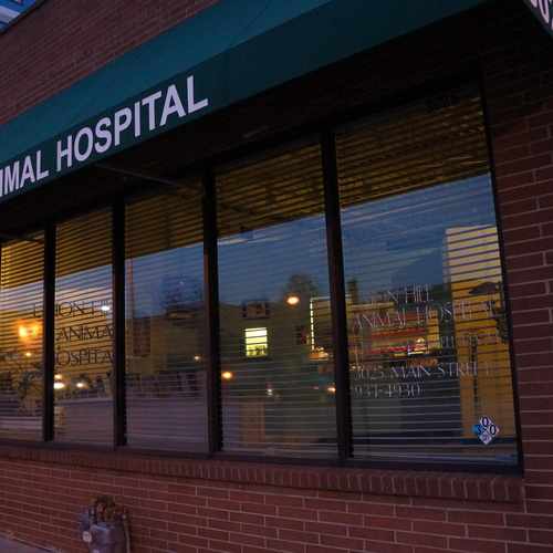 photo of Union Hill Animal Hospital at 3025 Main Street Kansas City MO 64108