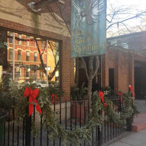 photo of Old Town Aquarium at 1538 North Wells Street Chicago IL 60610
