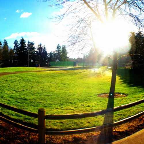 photo of Hidden Valley Sports Park at 1905 112th Avenue Northeast Bellevue WA 98004