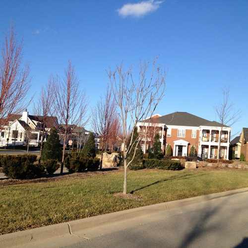 photo of Pétanque Park at Norton Commons at 10506 Catfoot Street Prospect KY 40059