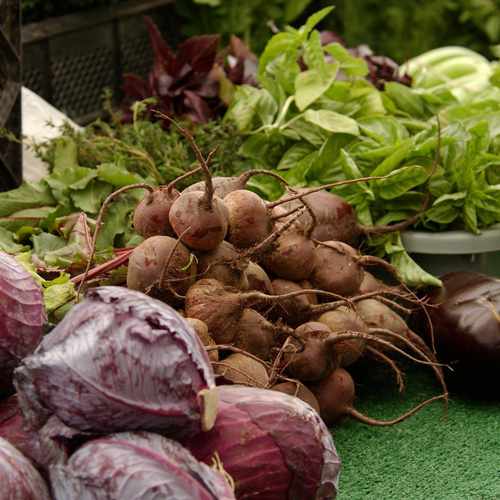photo of Larchmont Village Farmer's Market at 128 1/2 North Larchmont Boulevard Los Angeles CA 90004