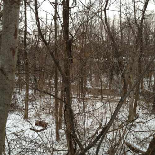 photo of Willow Creek Park at 7589 252nd Road Arkansas City KS 67005