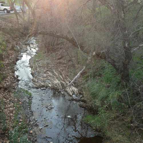 photo of George Cardinet Trail at 6003 Clayton Road Clayton CA 94517