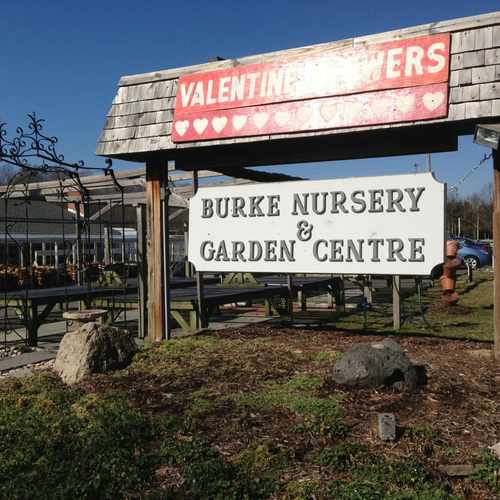 photo of Burke Nursery & Garden Centre at 9401 Burke Road Burke VA 22015