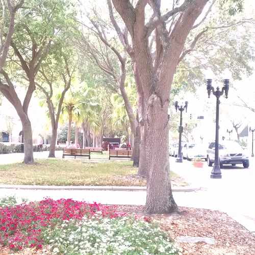 photo of Lemon Street Promenade at 333 East Lemon Street Lakeland FL 33801