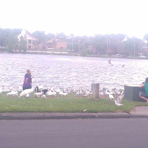 photo of Lake Morton Dr at 44 Lake Morton Drive Lakeland FL 33801