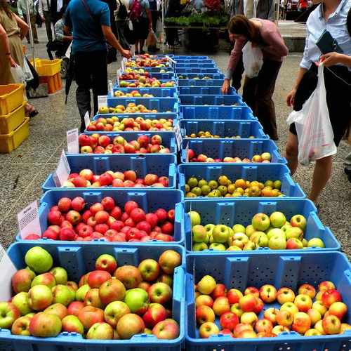 photo of Daley Plaza Farmers Market at 50 West Washington Street Chicago IL 60602