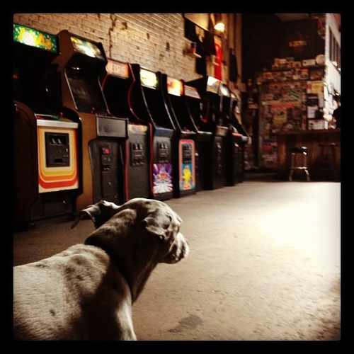 photo of Barcade at 388 Union Avenue Brooklyn NY 11211