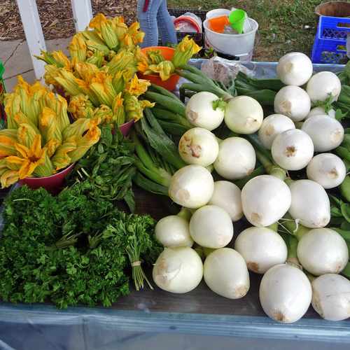 photo of Vliet Street Community Green Market at 4420 West Vliet Street Milwaukee WI 53208