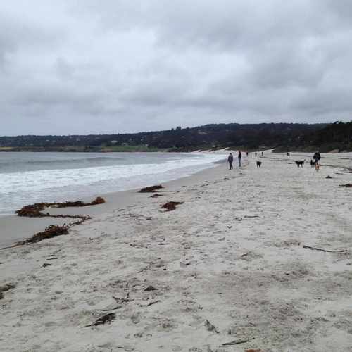 photo of Carmel Beach City Park at 22924 Scenic Road Carmel CA 93923