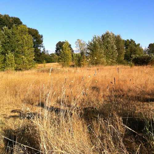 photo of Union Bay Natural Area at Franklin Pl NE Seattle WA 98105