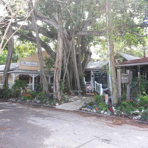 photo of Burns Gallery Sarasota at 530 Burns Lane Winter Haven FL 33884