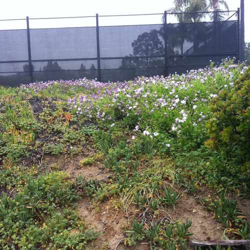 photo of Grant Howald Park at 900 Goldenrod Avenue Newport Beach CA 92625