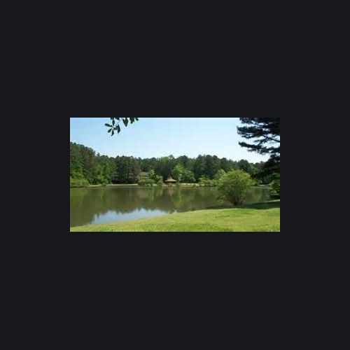 photo of Huddleston Pond at 518 Saltlick Trce Peachtree City GA 30269