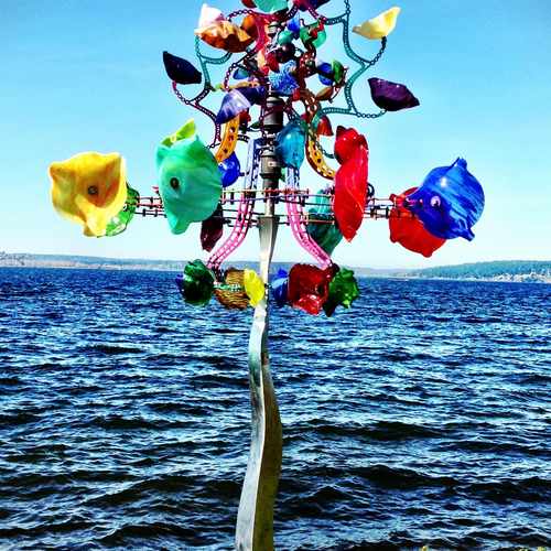 photo of Glassimator By Andrew Carson at 5505 Lake Washington Boulevard Northeast Kirkland WA 98033