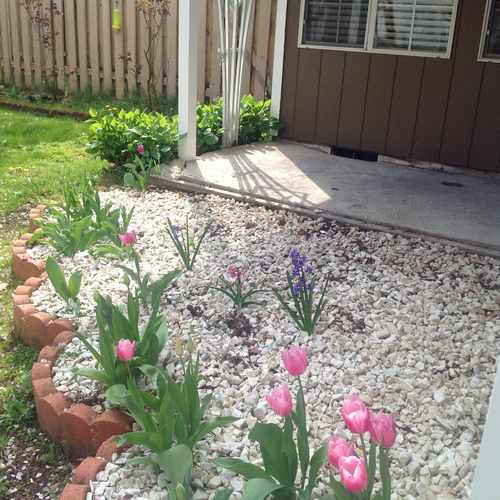 photo of Flowers at 16544 Southeast Stark Street Portland OR 97233