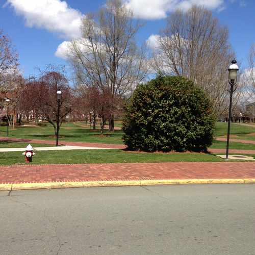 photo of Elon University at Campus Drive Elon NC 27244