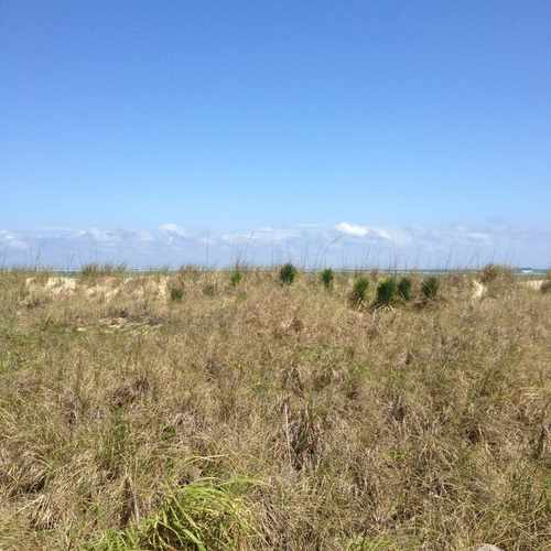 photo of Condo at 50 South Pointe Drive Miami Beach FL 33139