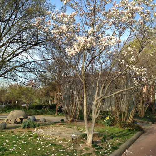photo of Triangle Park at Eastern Market at 699 Independence Avenue Southeast Washington DC 20003