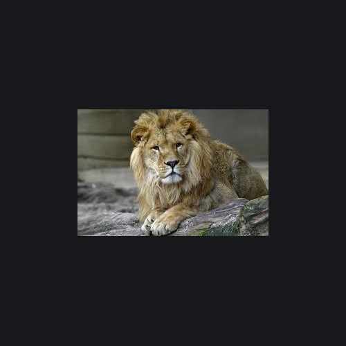 photo of John Ball Zoo at 1300 West Fulton Street Grand Rapids MI 49504