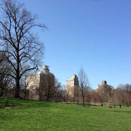 photo of Prospect Park at 3715 14th Avenue Brooklyn NY 11218