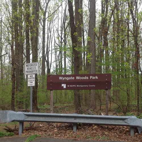photo of Wyngate Woods park at 9301 Kirkdale Road Bethesda MD 20817