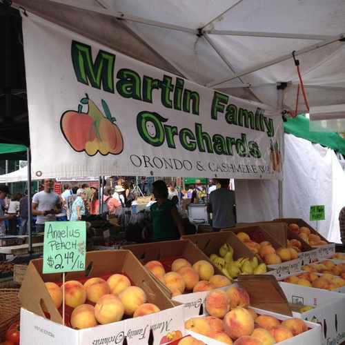 photo of University District Farmers Market at 5031 University Way Northeast Seattle WA 98105