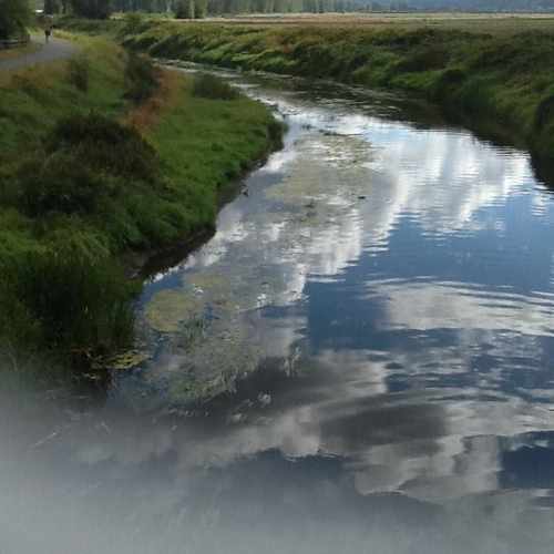 photo of Walk at Sammamish River Trail Woodinville WA 98072