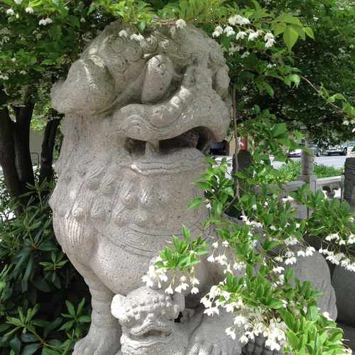 photo of Guardian of the Chinese Garden at 200 Northwest Everett Street Portland OR 97209