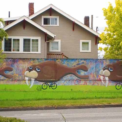 photo of Mural of Three Walruses Riding Tiny Bicycles at 6677 8th Avenue Northwest Seattle WA 98117