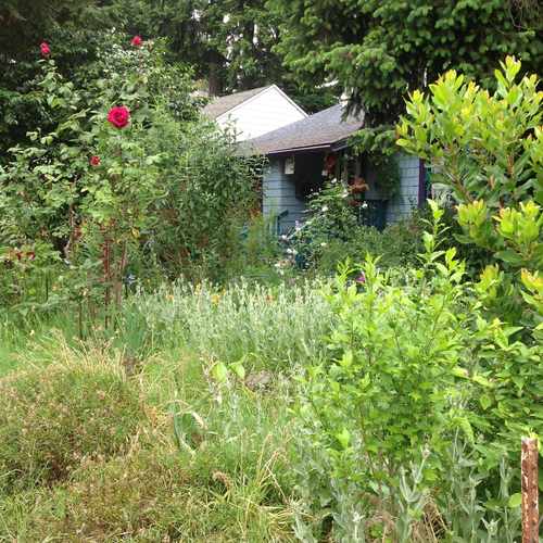 photo of Front Yard Floral Garden at 316 West 32nd Street Vancouver WA 98660