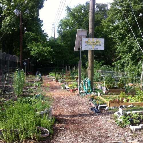 photo of Peachtree Hills Park at 308 Peachtree Hills Avenue Northeast Atlanta GA 30305