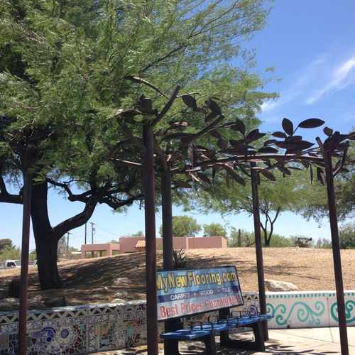 photo of Bus Stop at 4026 North Stone Avenue Tucson AZ 85705