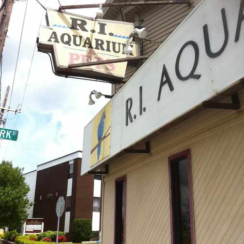 photo of Ri Aquarium & Pet Center at 905 North Main Street Providence RI 02904