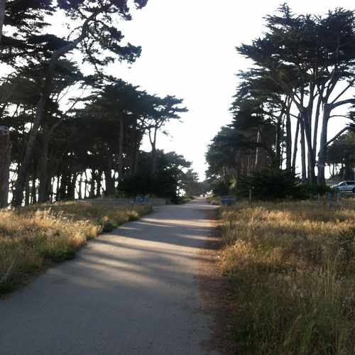 photo of Apartment For Rent In San Francisco, Ca at 195 Seal Rock Drive San Francisco CA 94121