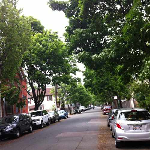 photo of Hampshire St @ Webster Ave at 23 Webster Avenue Cambridge MA 02141