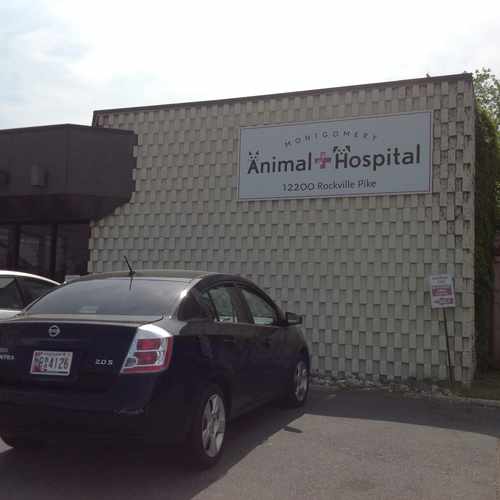photo of Montgomery Animal Hospital at 12200 Rockville Pike Rockville MD 20852