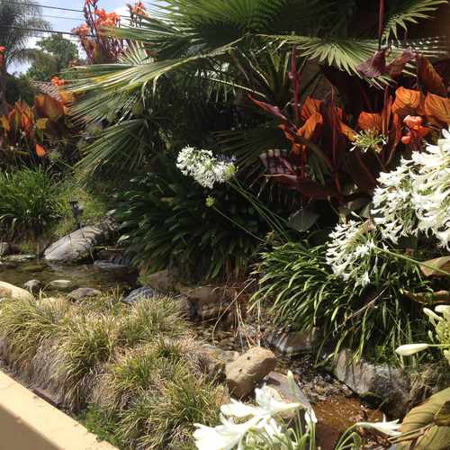 photo of Resting Area at 4310 West Riverside Drive Burbank CA 91505