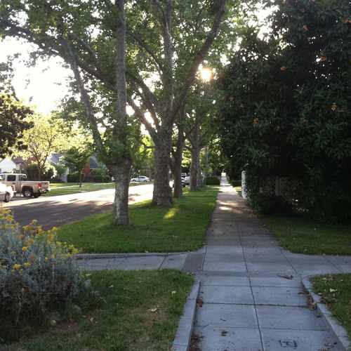 photo of Ella K. Mcclatchy Library at 2112 22nd Street Sacramento CA 95818