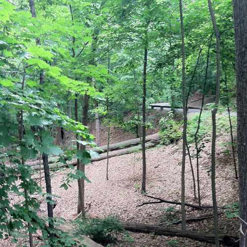 photo of Rock Creek Park Trails at 6776 16th Street Northwest Washington DC 20012
