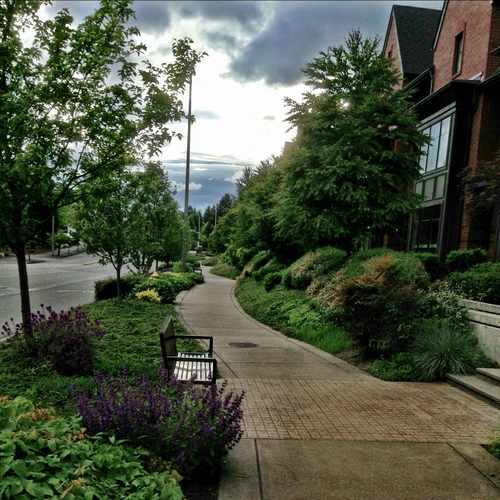 photo of NE 12th Street at 1130 106th Avenue Northeast Bellevue WA 98004